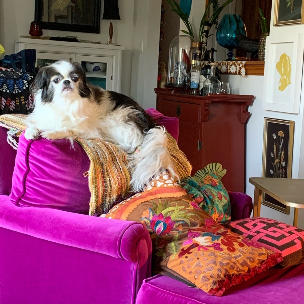 Meet your Posher, Marie